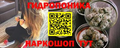 стаф Дубна