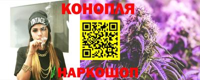 стаф Дубна