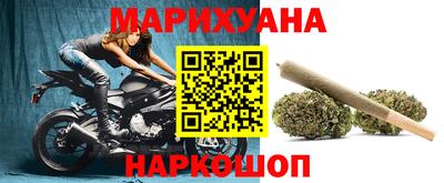стаф Дубна