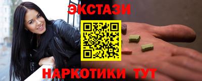 стаф Дубна