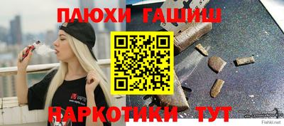 стаф Дубна