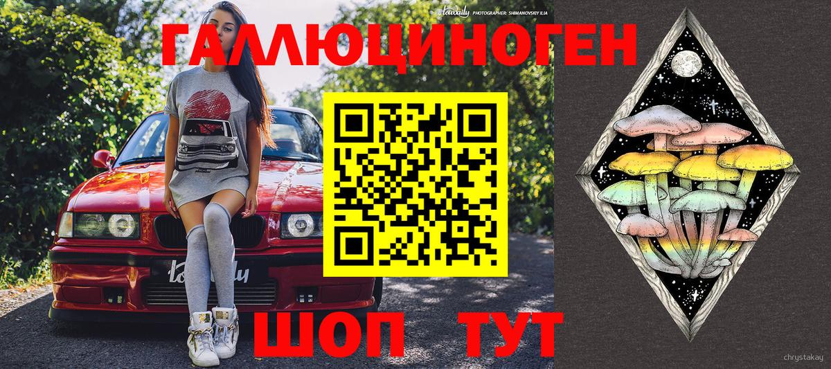 Псилоцибиновые грибы Psilocybe  Вход с VPN  Москва 